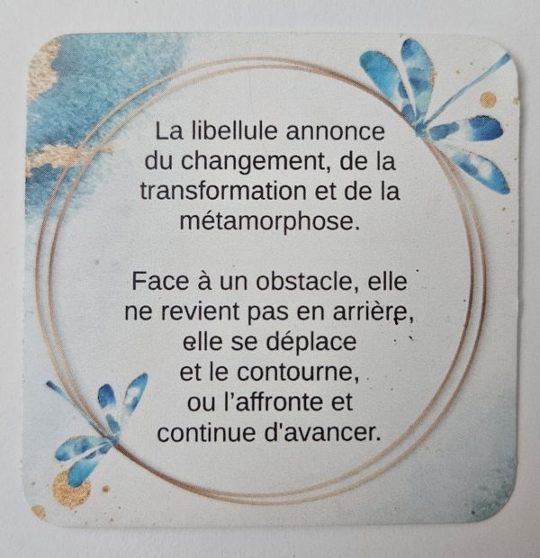 Libellule 40 | Ensemble collier et boucles       -        Livraison gratuite – Image 2